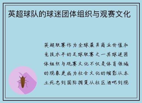 英超球队的球迷团体组织与观赛文化